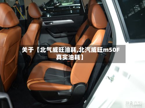 关于【北气威旺油耗,北汽威旺m50F真实油耗】-第2张图片