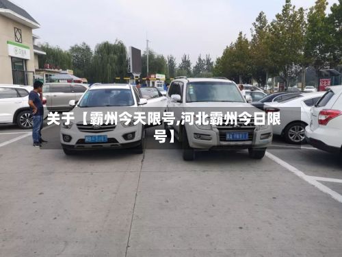 关于【霸州今天限号,河北霸州今日限号】-第2张图片