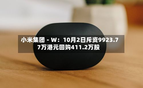 小米集团－Ｗ：10月2日斥资9923.77万港元回购411.2万股