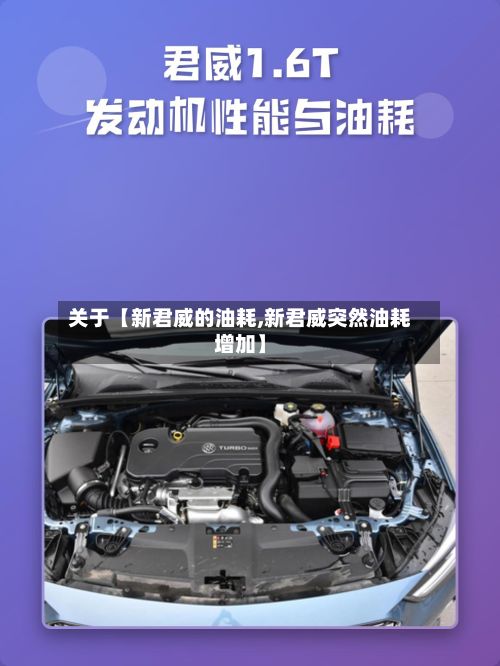 关于【新君威的油耗,新君威突然油耗增加】-第2张图片
