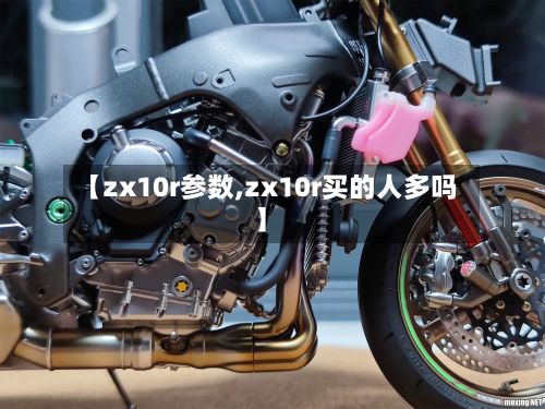 【zx10r参数,zx10r买的人多吗】