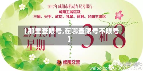 【那里查限号,在哪查限号不限号】