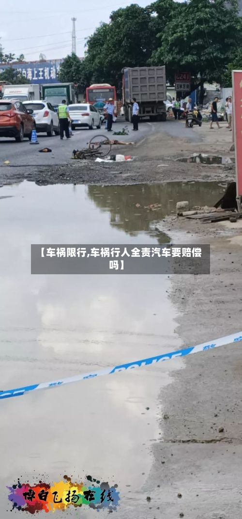 【车祸限行,车祸行人全责汽车要赔偿吗】-第2张图片