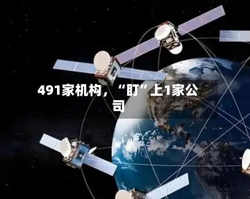 491家机构	，“盯”上1家公司-第2张图片