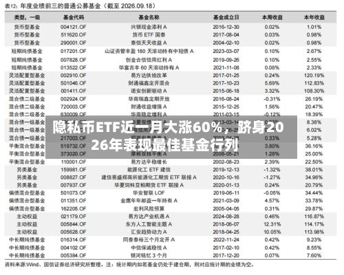 隐私币ETF近一月大涨60%	，跻身2026年表现最佳基金行列-第2张图片