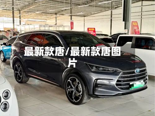 最新款唐/最新款唐图片-第2张图片