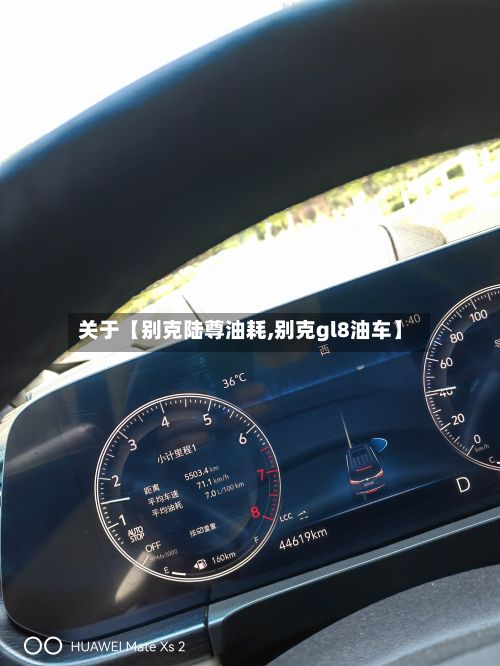 关于【别克陆尊油耗,别克gl8油车】-第1张图片