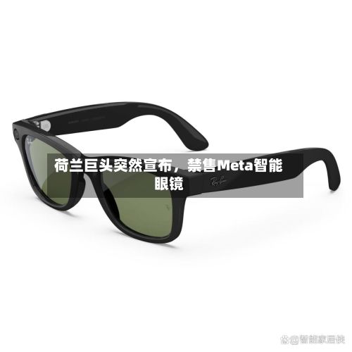 荷兰巨头突然宣布，禁售Meta智能眼镜-第3张图片