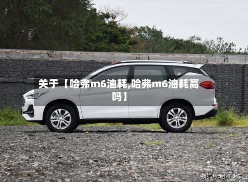 关于【哈弗m6油耗,哈弗m6油耗高吗】-第2张图片