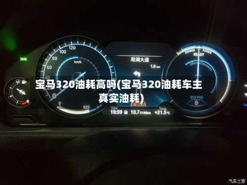 宝马320油耗高吗(宝马320油耗车主真实油耗)-第1张图片