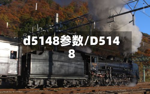 d5148参数/D5148-第3张图片