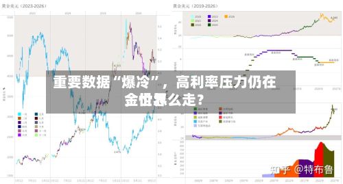 重要数据“爆冷”，高利率压力仍在，世界金价怎么走？