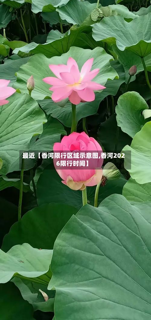 最近【香河限行区域示意图,香河2026限行时间】