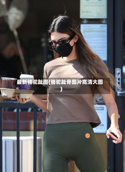 最新骆驼趾图(骆驼趾骨图片高清大图)