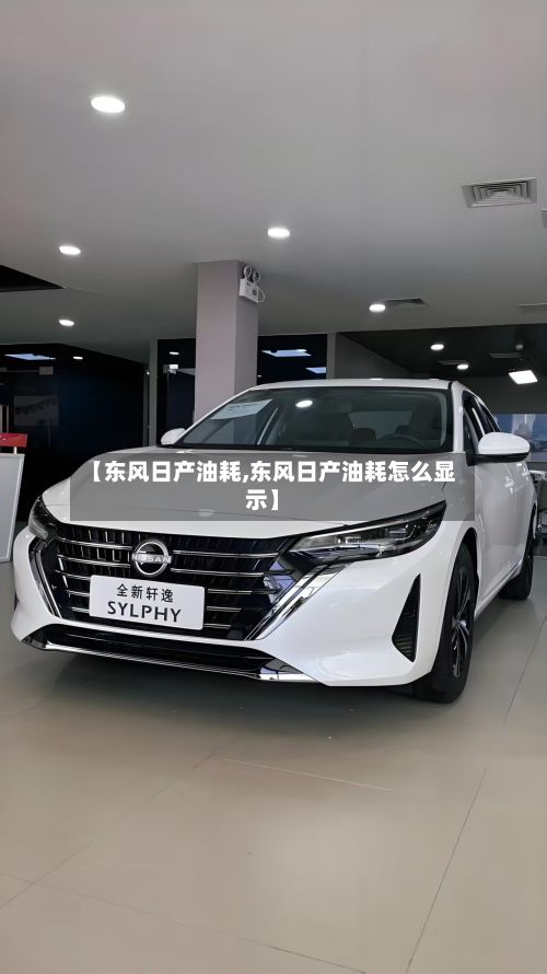 【东风日产油耗,东风日产油耗怎么显示】-第3张图片