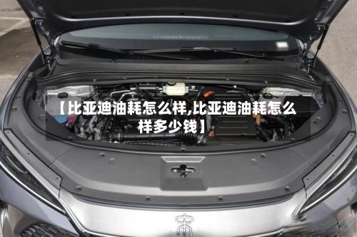 【比亚迪油耗怎么样,比亚迪油耗怎么样多少钱】-第3张图片