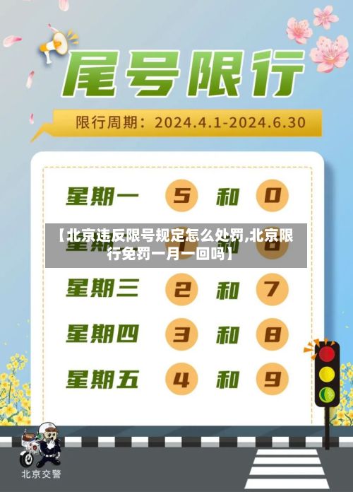 【北京违反限号规定怎么处罚,北京限行免罚一月一回吗】