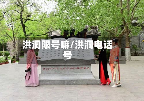 洪洞限号嘛/洪洞电话号