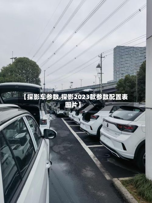 【探影车参数,探影2023款参数配置表图片】