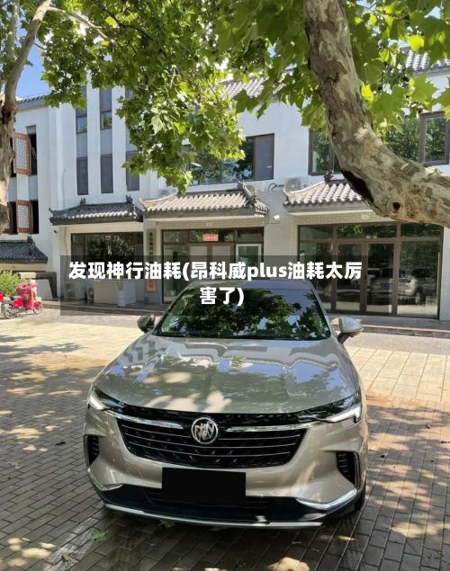 发现神行油耗(昂科威plus油耗太厉害了)-第2张图片