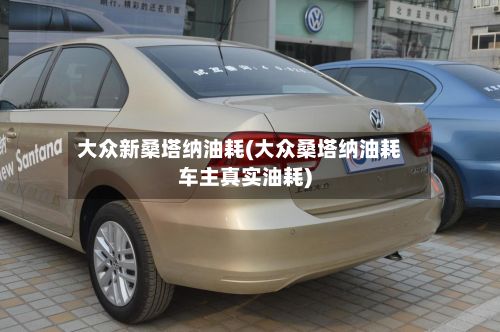 大众新桑塔纳油耗(大众桑塔纳油耗车主真实油耗)