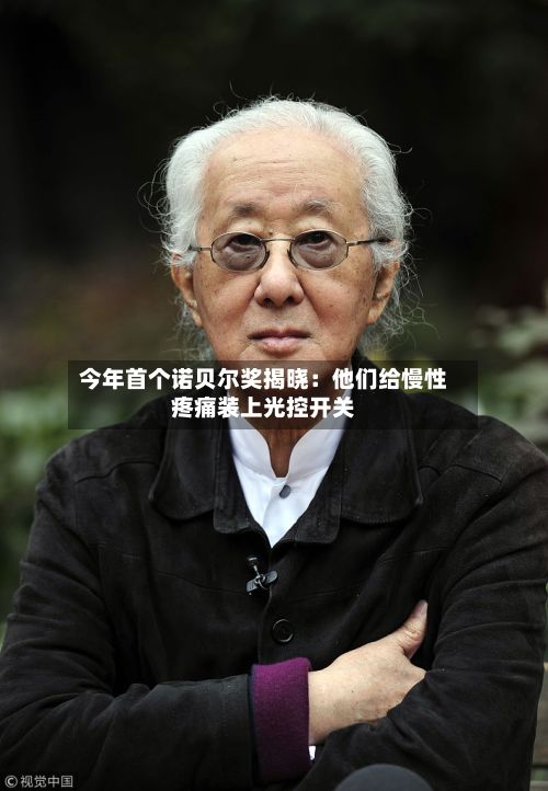今年首个诺贝尔奖揭晓:他们给慢性疼痛装上光控开关-第3张图片