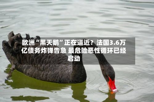 欧洲“黑天鹅	”正在逼近？法国3.6万亿债务炸弹告急 最危险恶性循环已经启动-第2张图片
