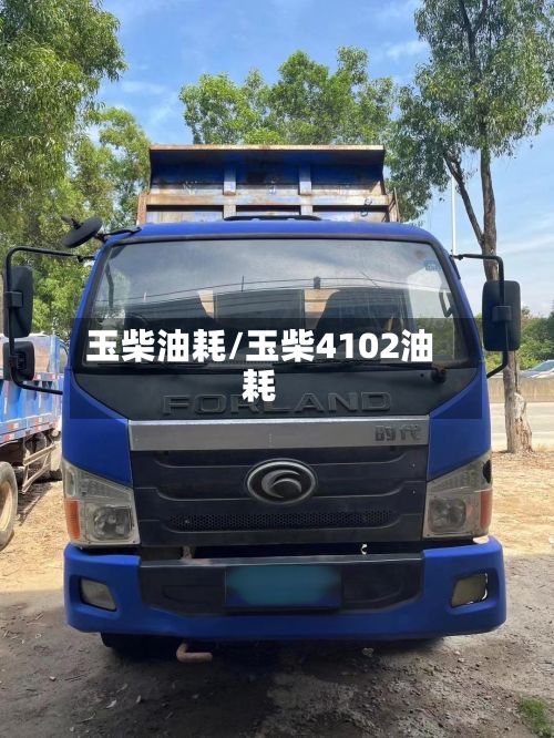 玉柴油耗/玉柴4102油耗-第1张图片