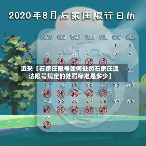 近来【石家庄限号如何处罚石家庄违法限号规定的处罚标准是多少】-第3张图片