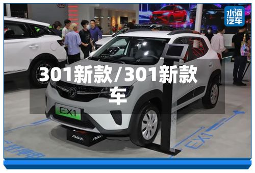 301新款/301新款车