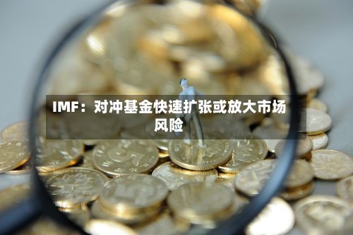 IMF:对冲基金快速扩张或放大市场风险-第2张图片