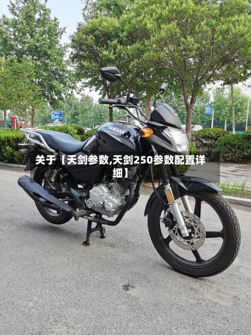 关于【天剑参数,天剑250参数配置详细】-第2张图片