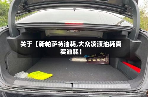关于【新帕萨特油耗,大众凌渡油耗真实油耗】-第1张图片