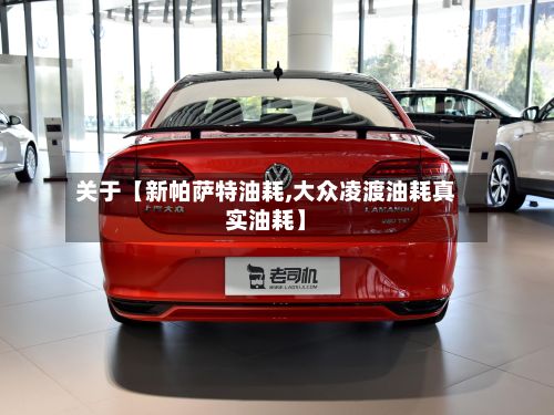 关于【新帕萨特油耗,大众凌渡油耗真实油耗】-第2张图片