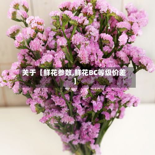 关于【鲜花参数,鲜花BC等级价差】