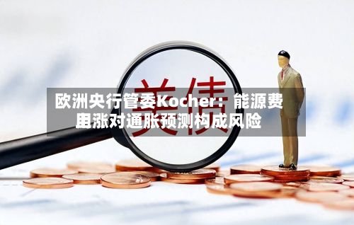 欧洲央行管委Kocher:能源费用
上涨对通胀预测构成风险-第3张图片