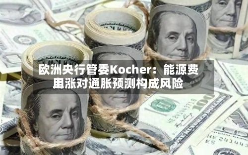欧洲央行管委Kocher:能源费用
上涨对通胀预测构成风险-第2张图片