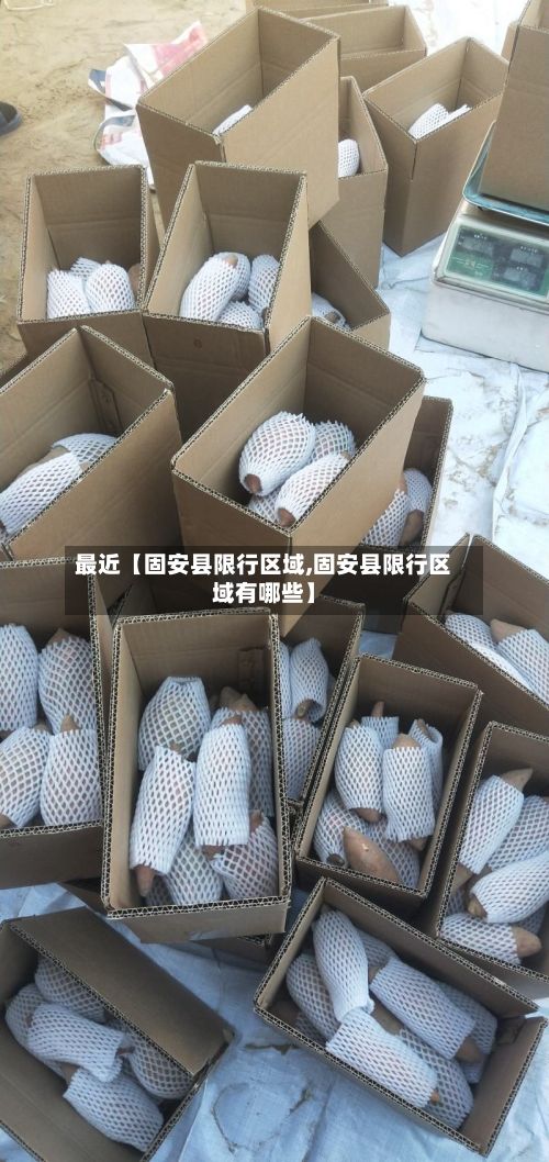 最近【固安县限行区域,固安县限行区域有哪些】-第2张图片