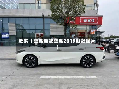近来【蓝鸟新款蓝鸟2019新款图片】-第2张图片