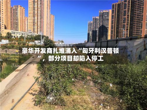 豪华开发商扎堆涌入“匈牙利汉普顿”	，部分项目却陷入停工-第2张图片
