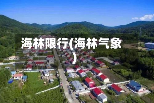 海林限行(海林气象)-第2张图片