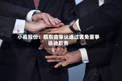 小崧股份：股东会审议通过罢免董事徐驰职务-第2张图片