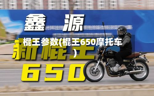棍王参数(棍王650摩托车)