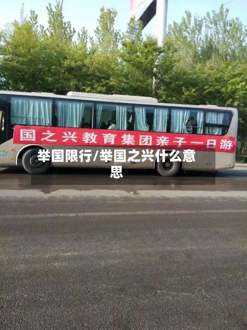 举国限行/举国之兴什么意思