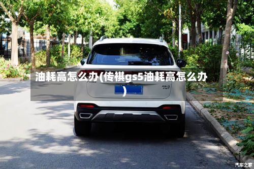 油耗高怎么办(传祺gs5油耗高怎么办)-第2张图片