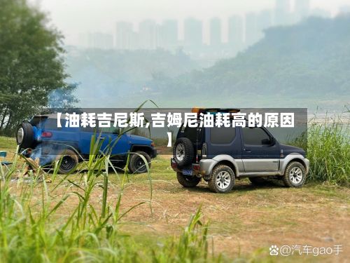 【油耗吉尼斯,吉姆尼油耗高的原因】-第2张图片