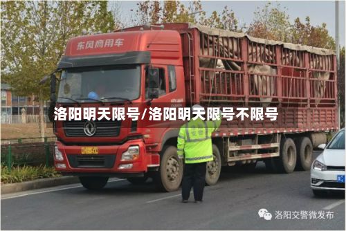 洛阳明天限号/洛阳明天限号不限号-第2张图片