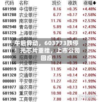 午后异动，603773跌停！光芯片重挫，上市公司回应