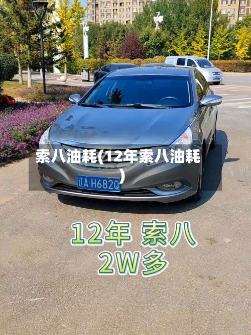 索八油耗(12年索八油耗)-第2张图片