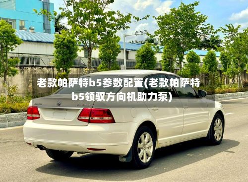 老款帕萨特b5参数配置(老款帕萨特b5领驭方向机助力泵)